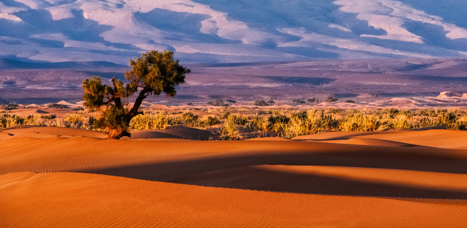 Veread - timbuktu.jpg